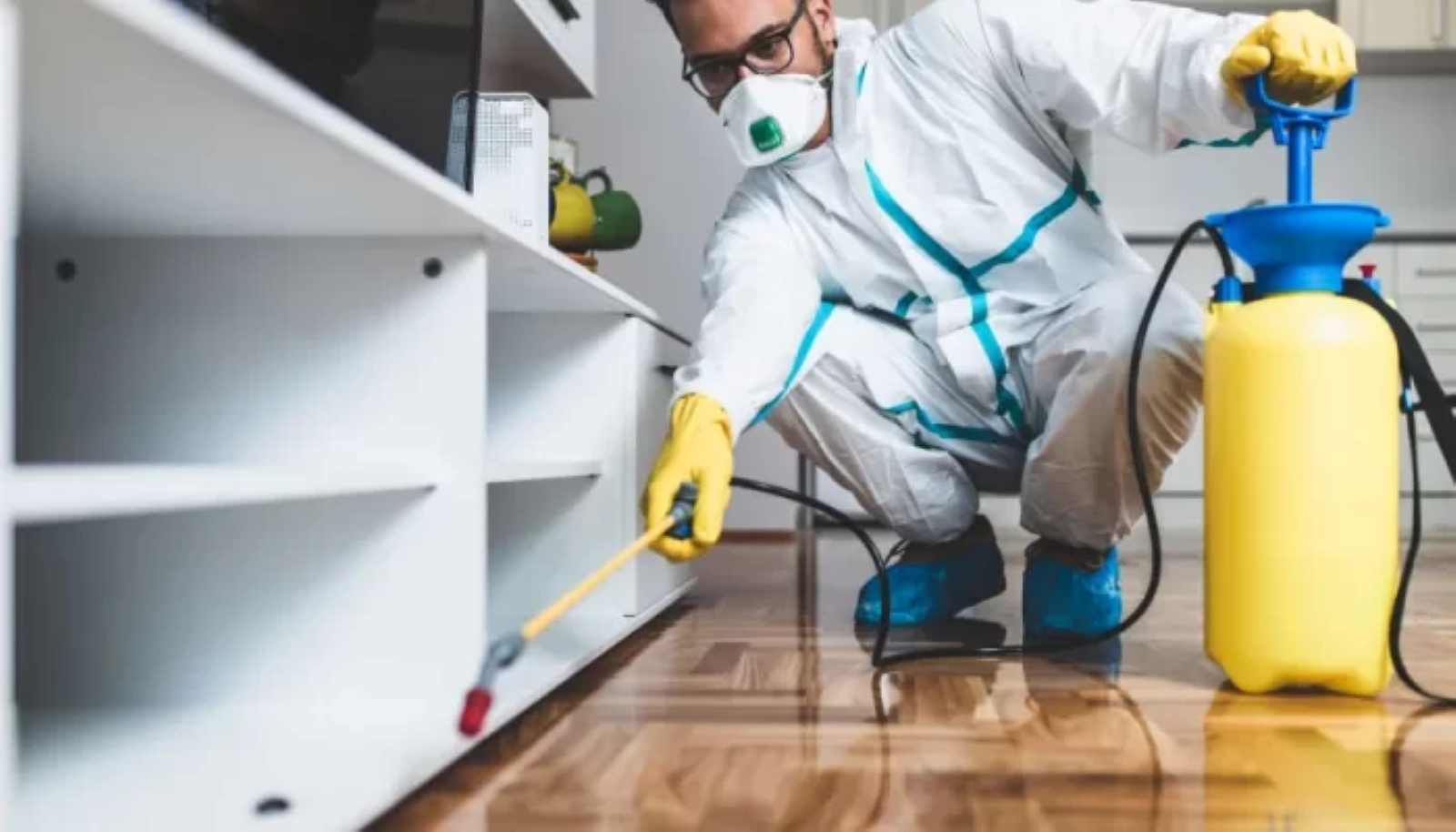  شركة مكافحة  الحشرات في المقطم01158561200